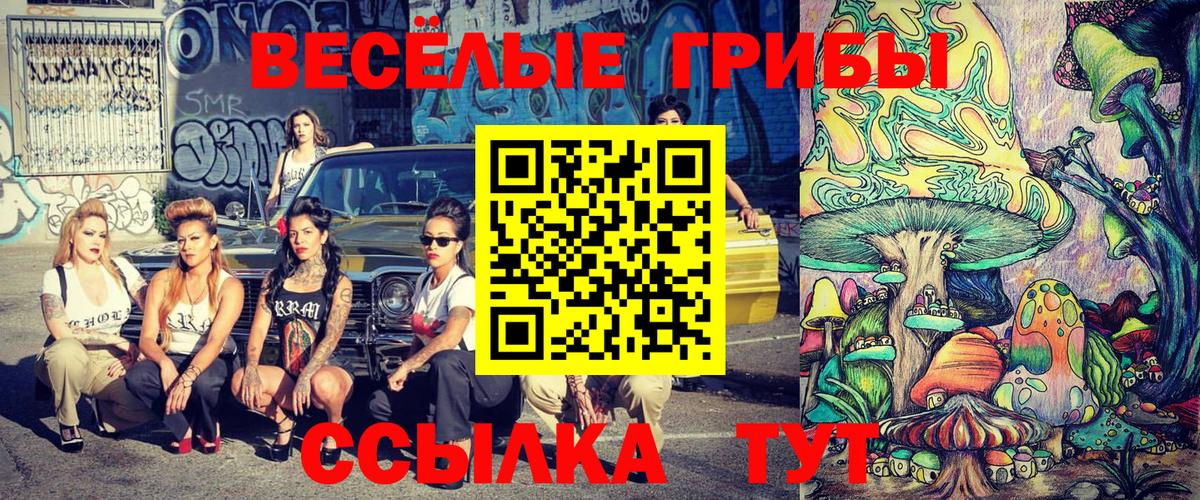 Дубна  Псилоцибиновые грибы Psilocybe  Вход с VPN 