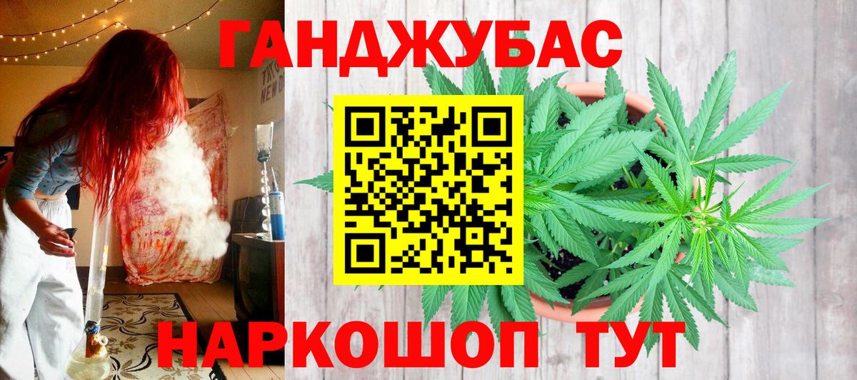 Канабис сатива Дубна